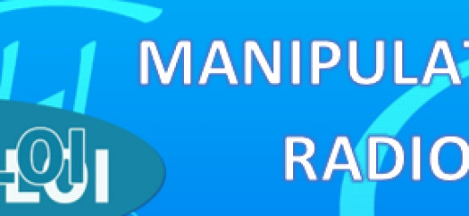 Offre d'emploi MANIP RADIO 